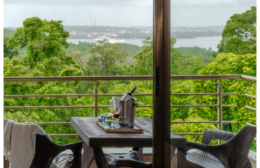 Terrace River View Suite